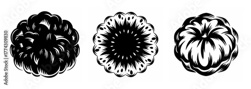 Three abstract radial splashes of dark ink representing raindrops or flower petals