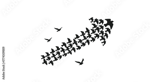 A flock of black birds in silhouette forms an upward-pointing arrow, symbolizing collective growth, progress, and teamwork towards a common goal.