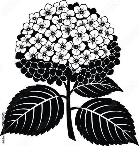 Buy lipstick online best lipstick shades and brands for women cheap price eps silhouette