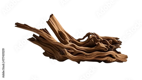 wild tree trunk illustration