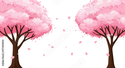 Two cherry blossom trees with pink flowers and petals falling in a gentle breeze against a white background.