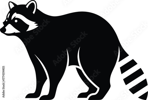 Black and white raccoon vector illustration wildlife animal mammal art eps silhouette
