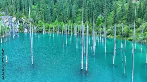 Front View of Kaindy Lake Sunken Forest in Kazakhstan