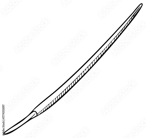 Stylized Quill Pen Drawing Showing Nib and Details for Calligraphy and Writing Tool Illustrations