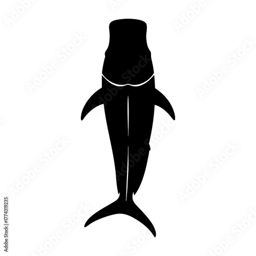 Top Down View Curved Mahi Mahi Silhouette Vector Isolated