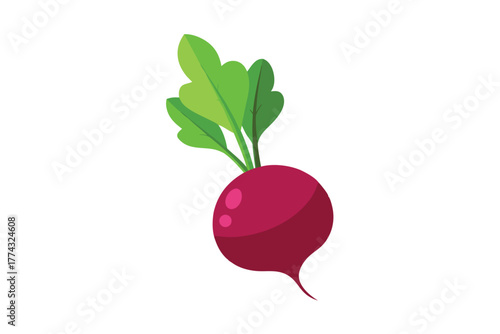 A single vibrant red radish with green leaves isolated on white background