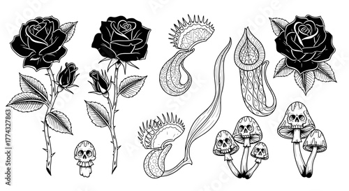 Edgy tattoo designs featuring gothic roses, mysterious carnivorous plants, spooky skull mushrooms and dark botanical elements for bold body art