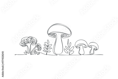 Continuous Line Drawing of Mushrooms and Leaves
