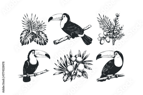 Toucan bird perched on branch with tropical foliage