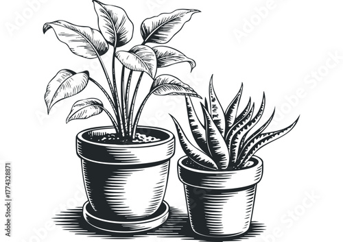 Potted plants in sketch style