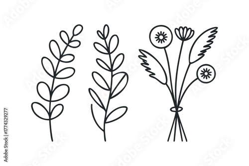 Botanical outline elements with leaves and flower heads