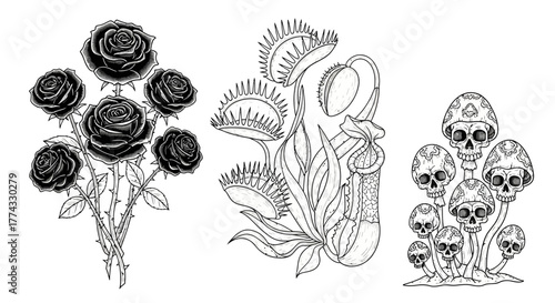 Stunning black and white illustrations feature a bouquet of roses, carnivorous pitcher plants, and creepy skull mushrooms for gothic or dark art projects