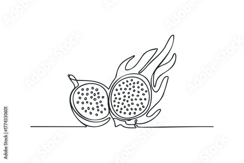 Two halves of a dragon fruit drawn with a single line