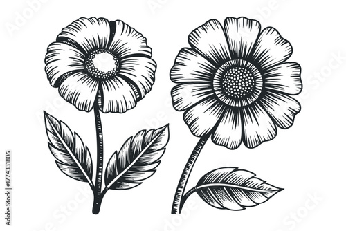 Two Hand Drawn Flowers With Stems and Leaves