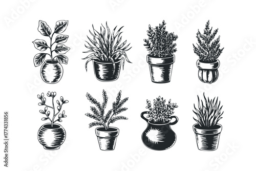 Set of eight potted plants in black and white line art