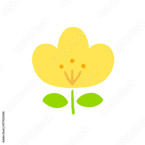 꽃