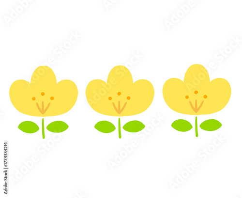 flowers and leaves