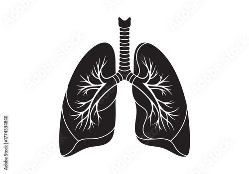 Inflammatory Condition of Lungs. Human Internal Organ Black Icon. Pneumonia, Asthma, Viral Disease concept. Pneumonia Lungs Silhouette Icon. Isolated Vector illustration