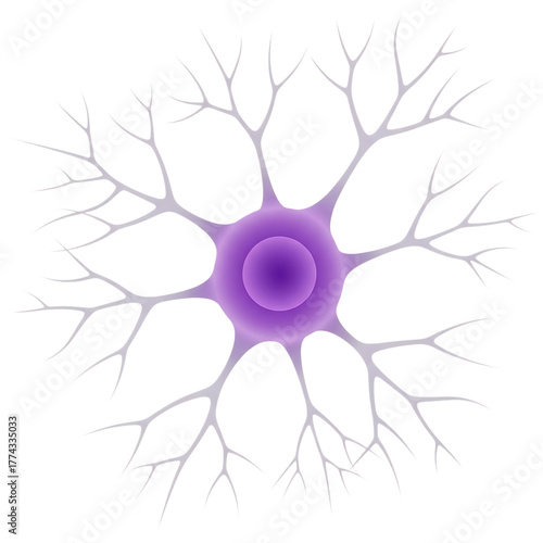 Illustration of a neuron, a nerve cell with dendrites and nucleus isolated on transparent background