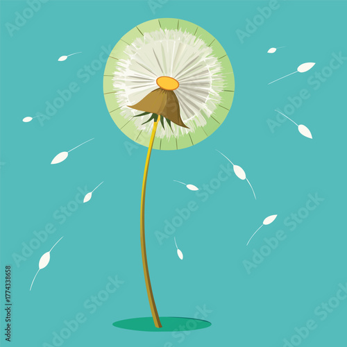 A single dandelion puffing seeds into the wind, representing wishes, change, freedom, and the passing of time.