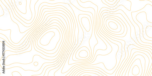 Topographic map background with geographic grid for hiking and mountain sport. luxury topographic wavy pattern and geographic grid map design. paper texture Imitation of a geographical map shade.