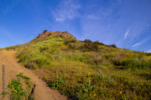 Dirt trail ascending hillside with wildflowers and rocky summit view