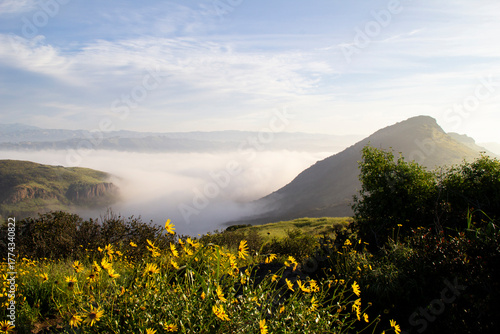 Wildflowers and misty ridgeline under a clear blue morning sky