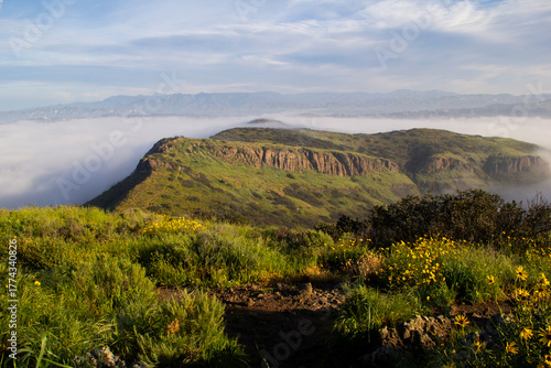 Lush green ridgeline with wildflowers above coastal morning fog
