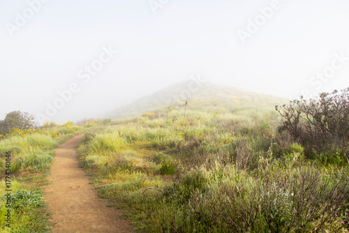 Foggy dirt trail winding through spring hillside landscape