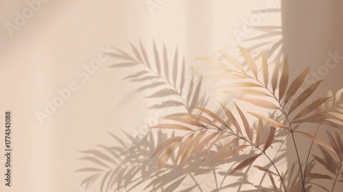 sunlight casting soft shadows of tropical leaves on light beige wall, minimal natural background with gentle gradients