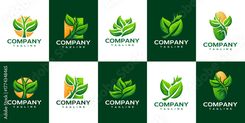 Colorful gradient plant leaf logo branding set