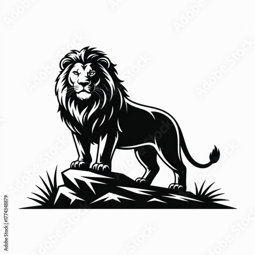 Black lion standing on rocks with grass black and white