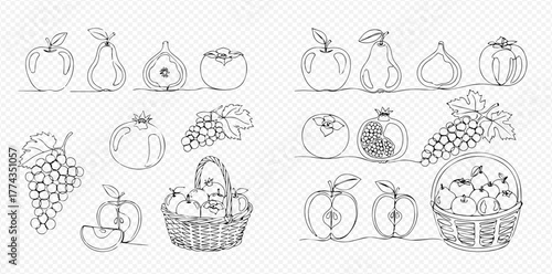 Collection of hand-drawn outline illustrations featuring various fresh fruits including apples, pears, figs, persimmons, pomegranates, and grapes.