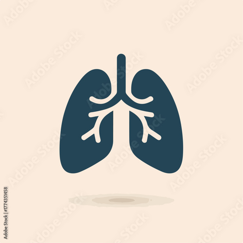 Flat lungs icon vector, simple respiratory design