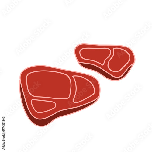 raw meat vector illustration