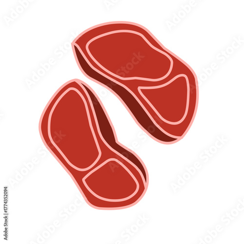 raw meat vector illustration