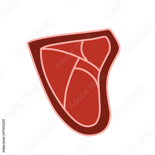 raw meat vector illustration