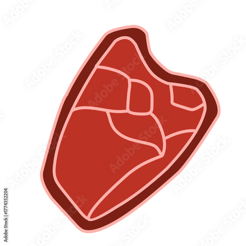 raw meat vector illustration