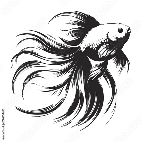 Betta Fish Vector Illustration in Black and White
