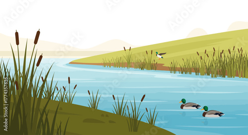 A serene river scene with ducks swimming and resting near grassy banks and cattails.