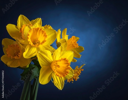 Close-up of yellow and orange trumpet-shaped blooms against blue