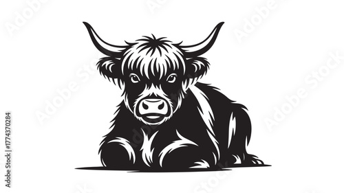 Highland cow illustration black and white design isolated on white background for print and digital use