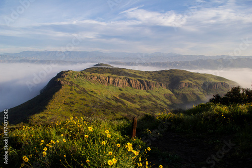 Wildflowers and rocky mountain ridge above low morning valley fog