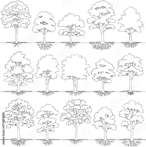 Create Architectural Drawings, Minimal style cad tree line drawing, Side view, set of section wetland forest outline for landscape design drawing. Vector illustration in separate element.