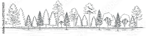 Create Architectural Drawings, Minimal style cad tree line drawing, Side view, set of section wetland forest outline for landscape design drawing. Vector illustration in seperate element with evergree
