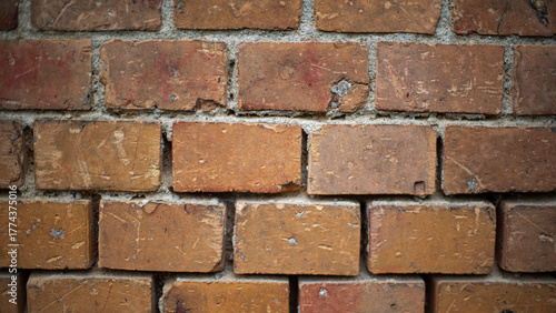 Ziegel Mauer Wand