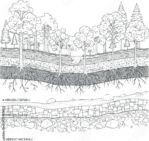 Create forest section, soil layer landscape drawing pattern. texture interior background line art. set of graphics elements drawing for architecture and landscape design. cad pattern on white