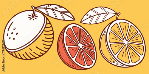 Juicy Orange Vector Set – Citrus Fruit Icons"