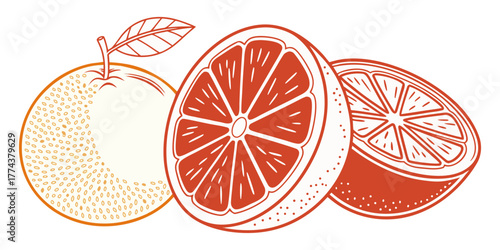 Juicy Orange Vector Set – Citrus Fruit Icons"