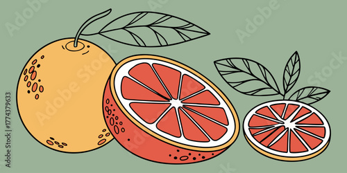 Juicy Orange Vector Set – Citrus Fruit Icons"